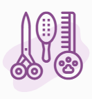 Coral Springs grooming